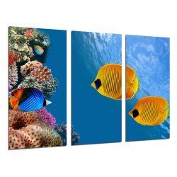 MULTI Wood Printings, Picture Wall Hanging, Landscape Down the Sea, Fish Acuario