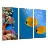 MULTI Wood Printings, Picture Wall Hanging, Landscape Down the Sea, Fish Acuario