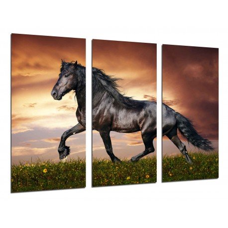 Cuadro Moderno Fotografico base madera, Caballo Negro, Paisaje Naturaleza, Amimales