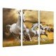 Cuadro Moderno Fotografico base madera, Caballos Blancos, Paisaje Naturaleza, Animales