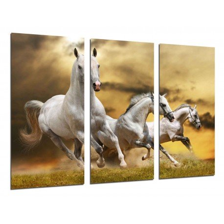 Cuadro Moderno Fotografico base madera, Caballos Blancos, Paisaje Naturaleza, Animales