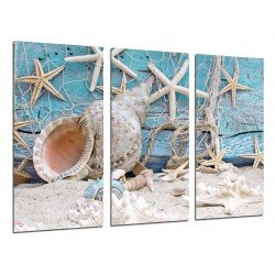Cuadro Moderno Fotografico base madera, Paisaje Mar  Vintage, Conchas, Caracolas, Playa, Arena