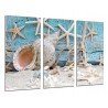 Cuadro Moderno Fotografico base madera, Paisaje Mar  Vintage, Conchas, Caracolas, Playa, Arena