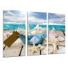 Cuadro Moderno Fotografico base madera, Paisaje Mar Vintage, Conchas, Caracolas, Playa, Arena