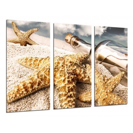 Cuadro Moderno Fotografico base madera, Paisaje Mensaje en una Botella, Estrellas de Mar, Playa, Mar