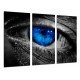 MULTI Wood Printings, Picture Wall Hanging, Eye Human, Iris  Azul