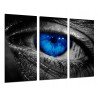 Cuadro Moderno Fotografico base madera, Ojo Humano, Iris  Azul