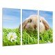 MULTI Wood Printings, Picture Wall Hanging, Landscape Rabbit in the Meadow, Animales