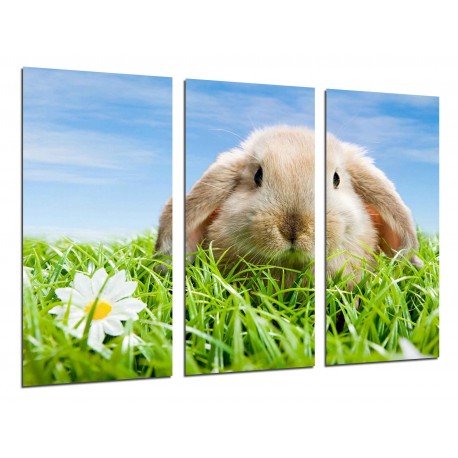 MULTI Wood Printings, Picture Wall Hanging, Landscape Rabbit in the Meadow, Animales