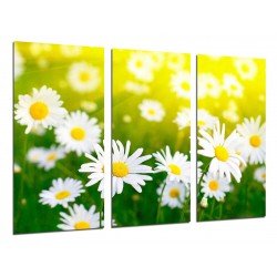 MULTI Wood Printings, Picture Wall Hanging, Landscape Land of Daisies