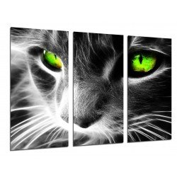MULTI Wood Printings, Picture Wall Hanging, Cat Eyes of Colors, Animales