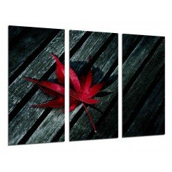 Cuadro Moderno Fotografico base madera, Hoja de Cannabis Roja