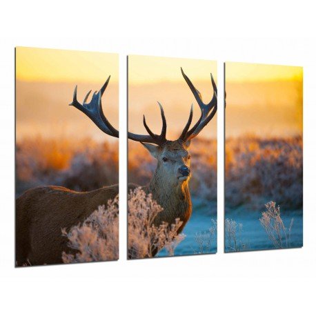 MULTI Wood Printings, Picture Wall Hanging, Deer in the Nature, Atardecer