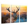 Cuadro Moderno Fotografico base madera, Ciervo en la Naturaleza, Atardecer