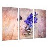 Cuadro Moderno Fotografico base madera, Tema Zen, Relajacion, Mariposa