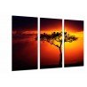 Cuadro Moderno Fotografico base madera, Arbol Africano, Atardecer