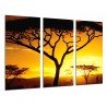 Cuadro Moderno Fotografico base madera, Arbol Africano, Atardecer, Naturaleza
