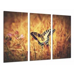 Cuadro Moderno Fotografico base madera, Mariposa Blanca y Negra, Naturaleza