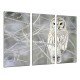 MULTI Wood Printings, Picture Wall Hanging, Owl White, Nature Snowy