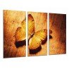 Cuadro Moderno Fotografico base madera, Mariposa Hermosa, Romantica