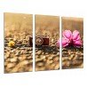 MULTI Wood Printings, Picture Wall Hanging, Camera Vintage, Flower Romantic