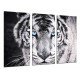 MULTI Wood Printings, Picture Wall Hanging, Tiger White and  Black, Eyes Blues, Animales