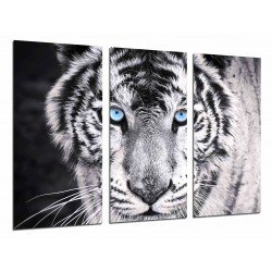 MULTI Wood Printings, Picture Wall Hanging, Tiger White and  Black, Eyes Blues, Animales